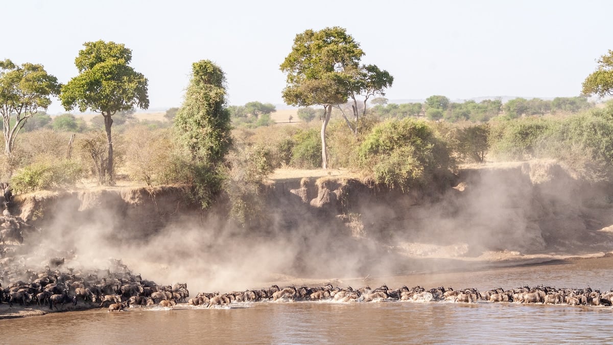 Tres parques y una caldera: cómo armar un safari de norte a sur por Tanzania sin atarse a un horario