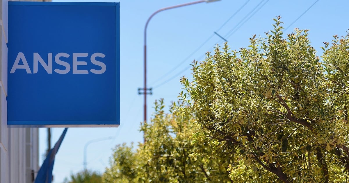 Cobros de ANSES en octubre: el cronograma completo para quienes tienen DNI terminado en 2