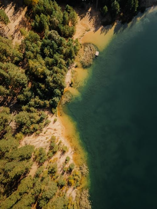 Una isla con capilla propia en el lago Lácar: cómo es la excursión que combina bosque, navegación e historia