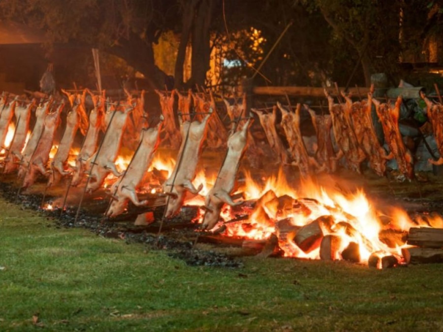Cinco fiestas populares para recorrer la provincia de Buenos Aires entre el 10 y el 12 de octubre