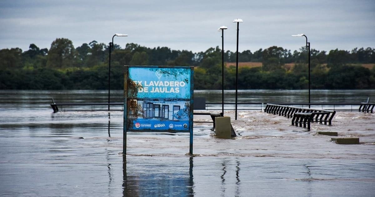 El Niño se cobra el peaje en la mesa: la carne se prepara para pegar otro salto antes de fin de año