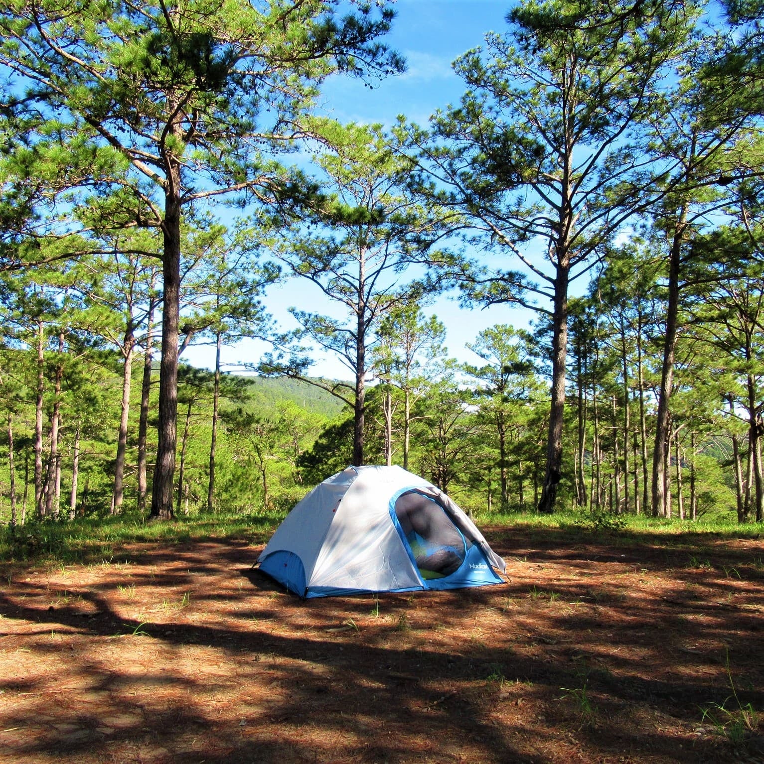 Huttopia monta su primer campamento latinoamericano en la costa de Villa Gesell