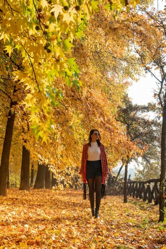 El otoño cambia el ritmo de doce capitales europeas