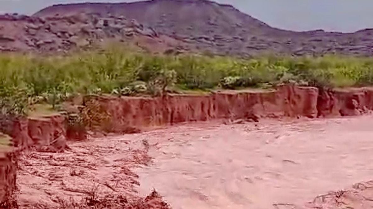 Río Neuquén: dónde consultar los caudales oficiales ante el temporal