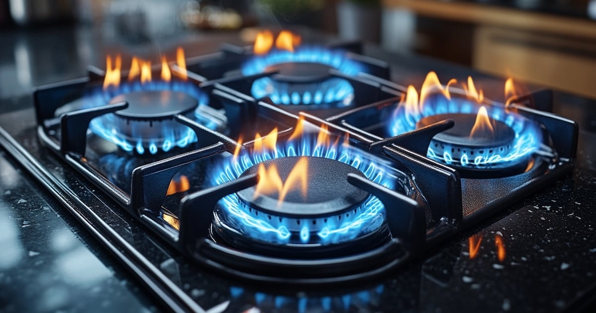 El Estado redefine el Subsidio al Gas y deja a 3,35 millones de hogares sin descuento