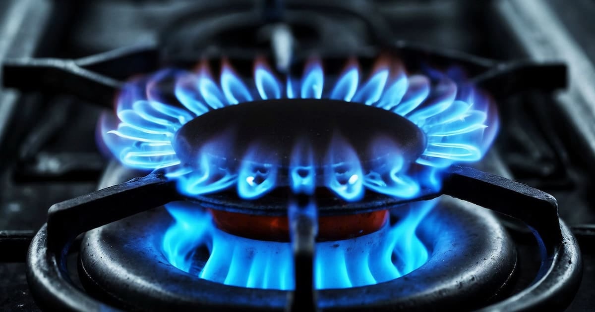 Gas en zonas frías: qué usuarios mantienen la rebaja del 50% y quiénes pueden acceder al 20%